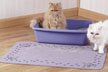 DryMate Cat Litter Box Mat